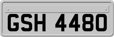 GSH4480