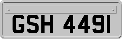 GSH4491