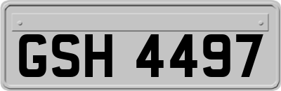 GSH4497