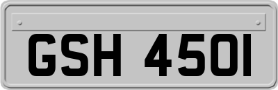 GSH4501