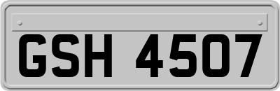GSH4507