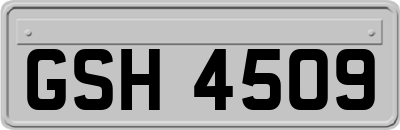 GSH4509
