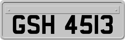 GSH4513