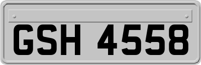 GSH4558