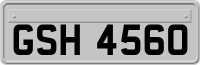 GSH4560