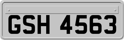 GSH4563