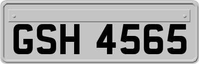 GSH4565