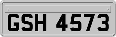 GSH4573