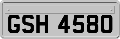 GSH4580