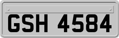 GSH4584