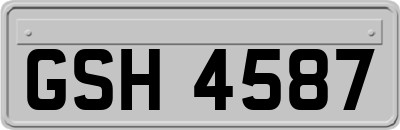 GSH4587