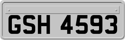 GSH4593