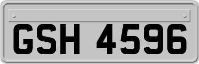 GSH4596
