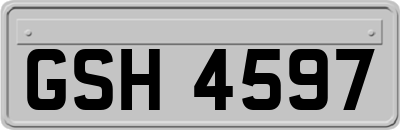 GSH4597