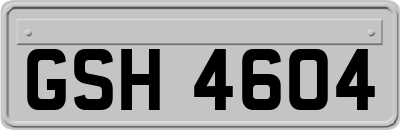 GSH4604