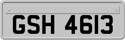 GSH4613