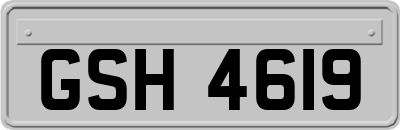 GSH4619