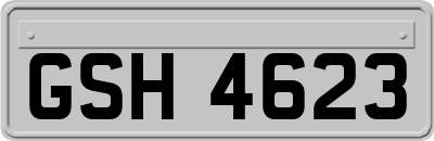 GSH4623