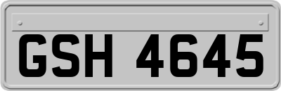 GSH4645