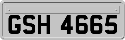GSH4665
