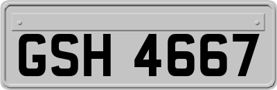 GSH4667