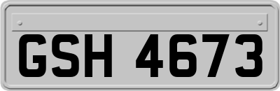 GSH4673