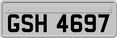 GSH4697
