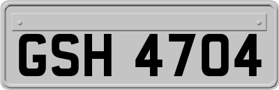 GSH4704