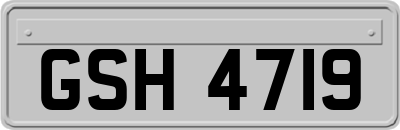 GSH4719