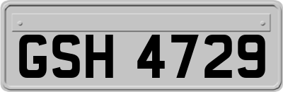 GSH4729