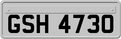 GSH4730