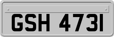 GSH4731