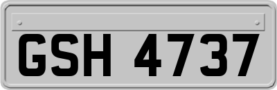 GSH4737