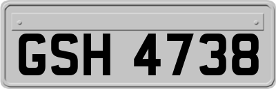 GSH4738