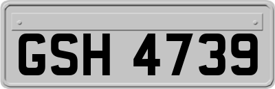 GSH4739