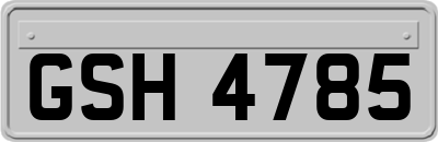 GSH4785