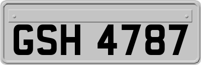 GSH4787