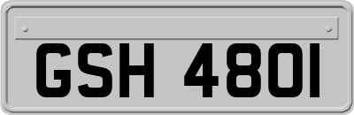 GSH4801