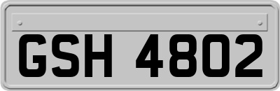 GSH4802