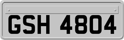 GSH4804