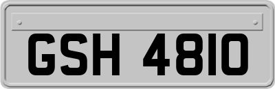 GSH4810
