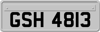 GSH4813