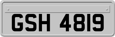 GSH4819