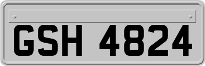 GSH4824