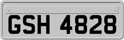 GSH4828