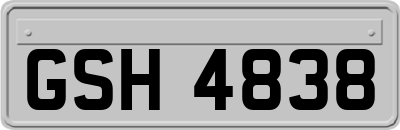 GSH4838