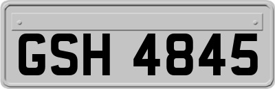 GSH4845