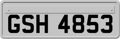 GSH4853