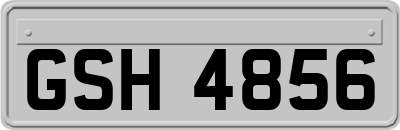 GSH4856