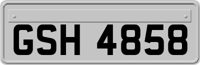 GSH4858